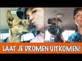 10 tips om je droombaan te vinden! | DierenpraatTV