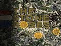 The Stone Roses hidden track #32-Foz Second Coming CD