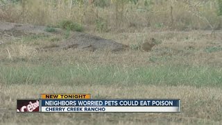 Battle over prairie dogs in Aurora, land owner wants to use poison to get rid of rodents