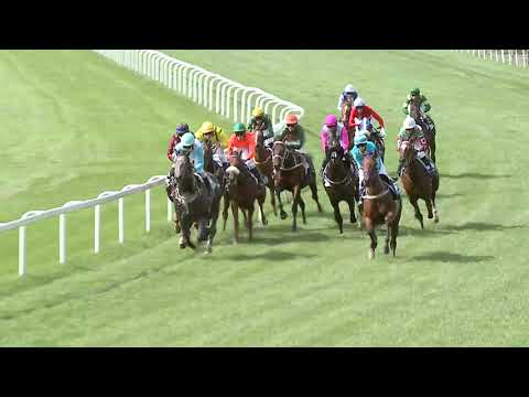 2023.09.17. 2. Futam - KEZDŐ LOVAK VERSENYE (IV.kat.)