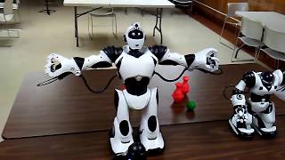 Download lagu Robosapien V2 Twelfth Anniversary mp3