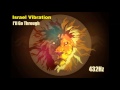 Israel Vibration - I'll Go Through - 432Her(t)z