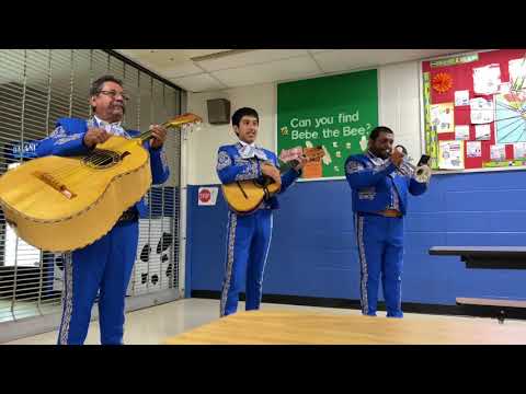 Baby Shark Mariachi