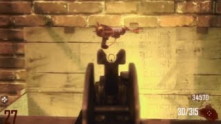Black Ops 2 Ray Gun EVERY TIME GLITCH!