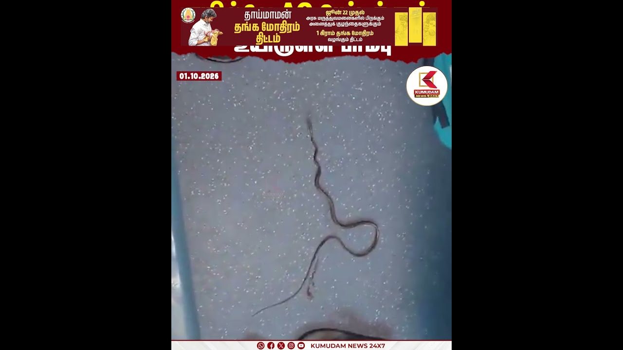 ரயில்வே AC பெட்டிக்குள் உயிருள்ள பாம்பு | Indian Railways | Kumudam News