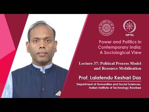 Political Process Model | Golden Age