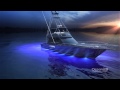 DW Studio Ltd OceanLED How To Light A Sportfish