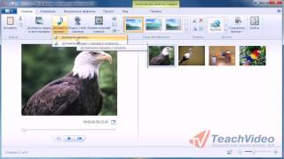 Смотреть онлайн Как сделать видео из фотографии в Windows Live