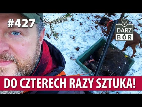 Darz Bór odc. 427 Do czterech razy sztuka