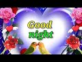 Good Night Video Good Night Status Good Night Song Good Night Photo Good Night