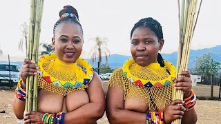 Umhlanga - Zulu Paradise 🌴 2025