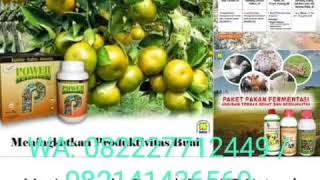 Download lagu Pusat Grosir Produk Nasa mp3