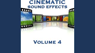 Bass 29-03 Sound Effect