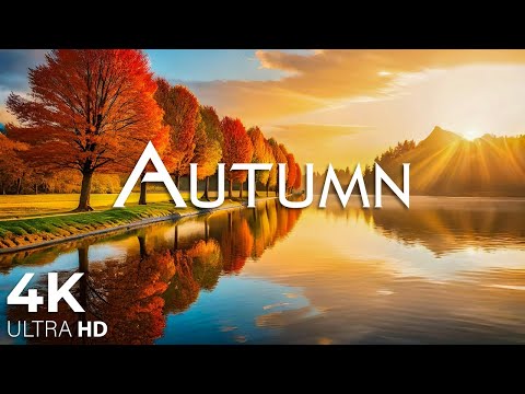 Enchanting Autumn Forests with Beautiful Piano Music🍁4K Autumn Ambience & Fall Foliage #26