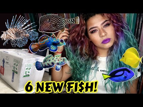 UNBOXING THE MOST EXPENSIVE RARE FISH IVE EVER OWNED! (SALTWATER)