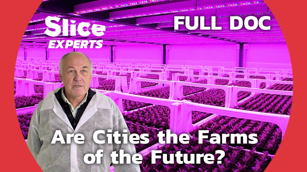 Urban Agriculture : the Rise of Vertical Farms | SLICE EXPERTS | FULL DOCUMENTARY