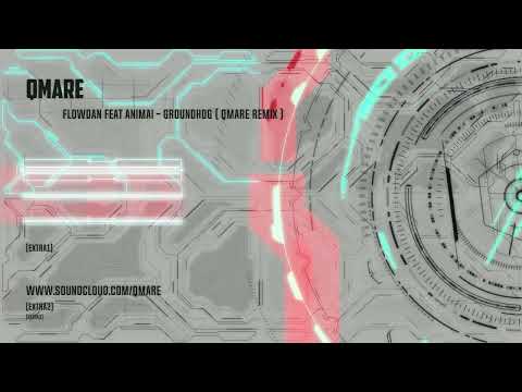 Flowdan feat Animai - Groundhog ( Qmare remix )