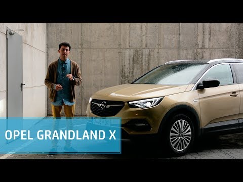 Opel Grandland X 2018 | Seguridad, Infoentretenimiento, OnStar… | Diariomotor