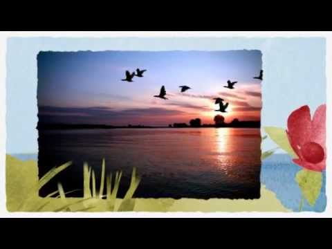 download lagu mp3 mp4 Light And Beauty, download lagu Light And Beauty gratis, unduh video klip Light And Beauty