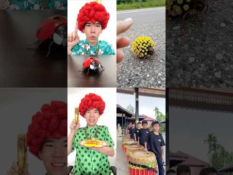 @olegpars @rafflesiapercussion