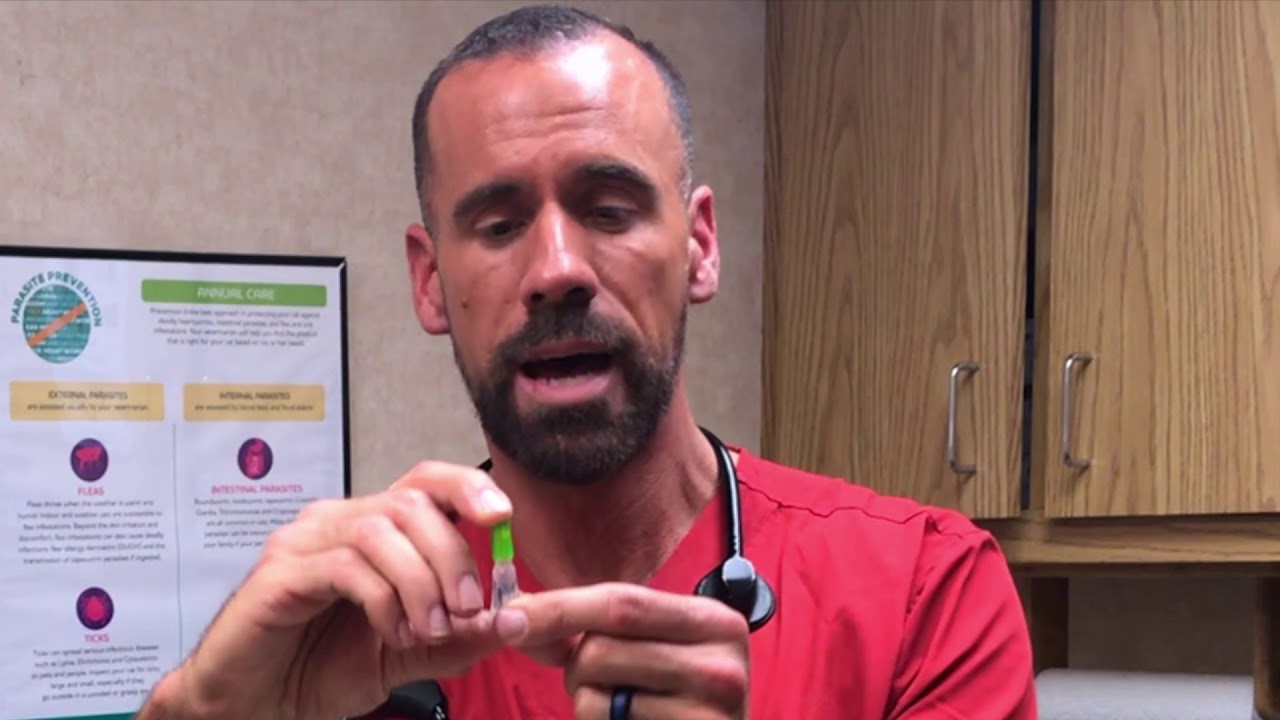 Revolution Plus for Cats!