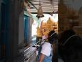 Ringing A Pooja Bell Temple Bell Ringing Sound Shorts Kids Trending Viral Ytshorts