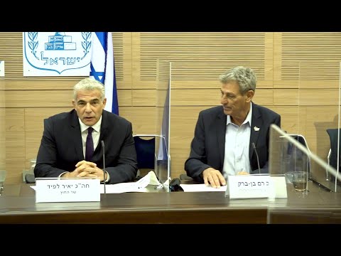 Israeli foreign minister vows defence of nation in Iran warning | AFP