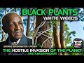BLACK PLANTS WHITE WEEDS THE HOSTILE INVASION OF THE PLANET METAMORPHOSIS