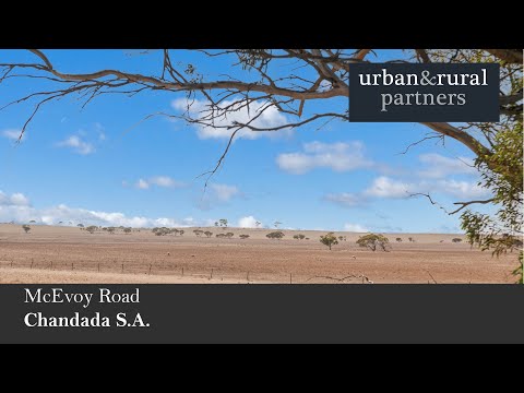 1225a McEvoy Road, Chandada, SA 5680, 6 Schlafzimmer, 2 Badezimmer, Lifestyle Property