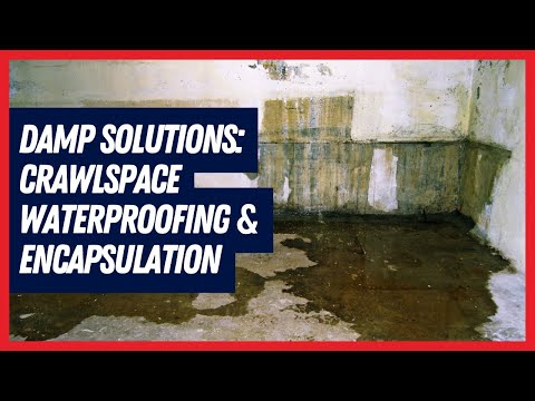 Damp Solutions: Crawlspace Waterproofing & Encapsulation