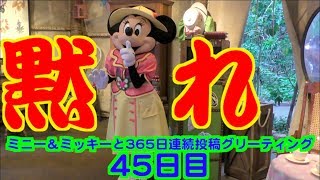 ミニー＆ミッキーと365日連続投稿グリーティング45日目〜黙れ〜