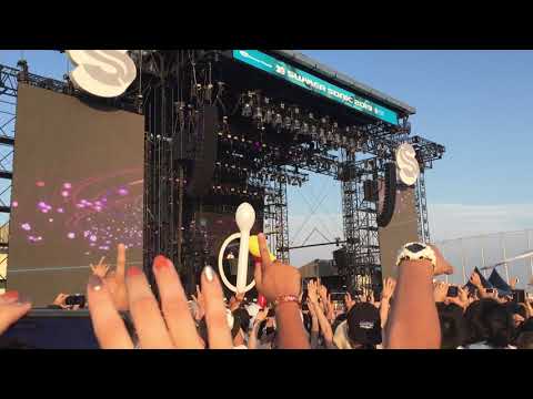 SUMMER SONIC 2019 in舞州 ZEDD