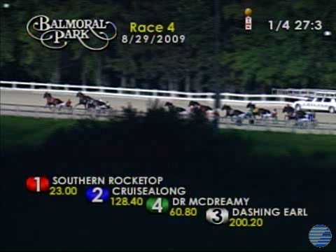 Muscle Hill - American National