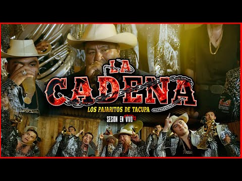 La Cadena - Los Pajaritos de Tacupa (SESION EN VIVO 🔴)