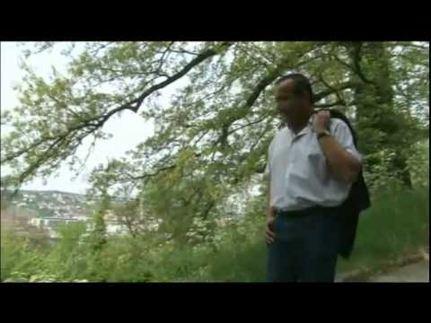 Stuttgart - Canarios por el Mundo (Juan Santana González)