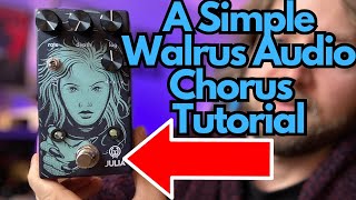 Video thumbnail for How to Use the Walrus Audio Julia V2 by Andrew Siemon