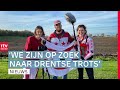 Wildlands verlaagt temperatuur van kas & Kunstmakers zoeken naar Drentse vlag | Drenthe Nu