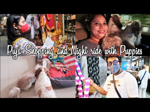 Puppies on a night ride | Eventful Satyanarayan Puja shopping | Puppies enjoyed late night drive Video