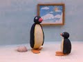 Pingu S01e03 Pingu Helps With Incubating