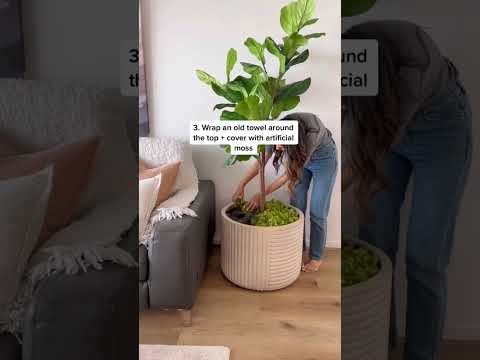 The inexpensive hack to make your faux plants look taller + more realistic 🪴 #shorts #homehacks