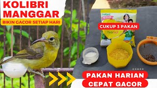 Download lagu HERE ARE 3 TYPES OF DAILY FEED THAT COCONUT / MANGGAR HUMMINGBIRD MUST GIVE TO THEM TO SING QUICKLY❗ mp3