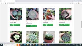 Download the video "Demo source code đồ án webiste bán cây cảnh asp net mvc"