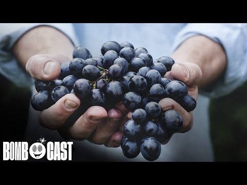 Giant Bombcast 749: Software Plus Art