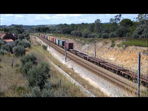 Comboio Especial n.º 95203 - Paialvo