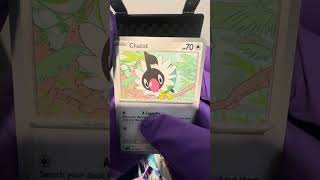 Day 18 of being robbed in my packs and I’m pretty sure nickit just stole my pants. #pokemonlife