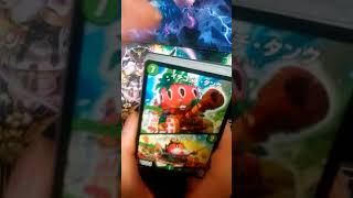 ストレージBOX?デッキ開封も