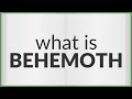 Behemoth | meaning of Behemoth