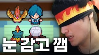 포켓몬을 24년간 하면 가능한 일【하트골드 눈 가리고 플레이】
