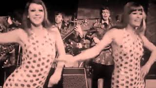 The Blues Magoos  -  We Ain&#39;t Got Nothin&#39; Yet (1966 67)