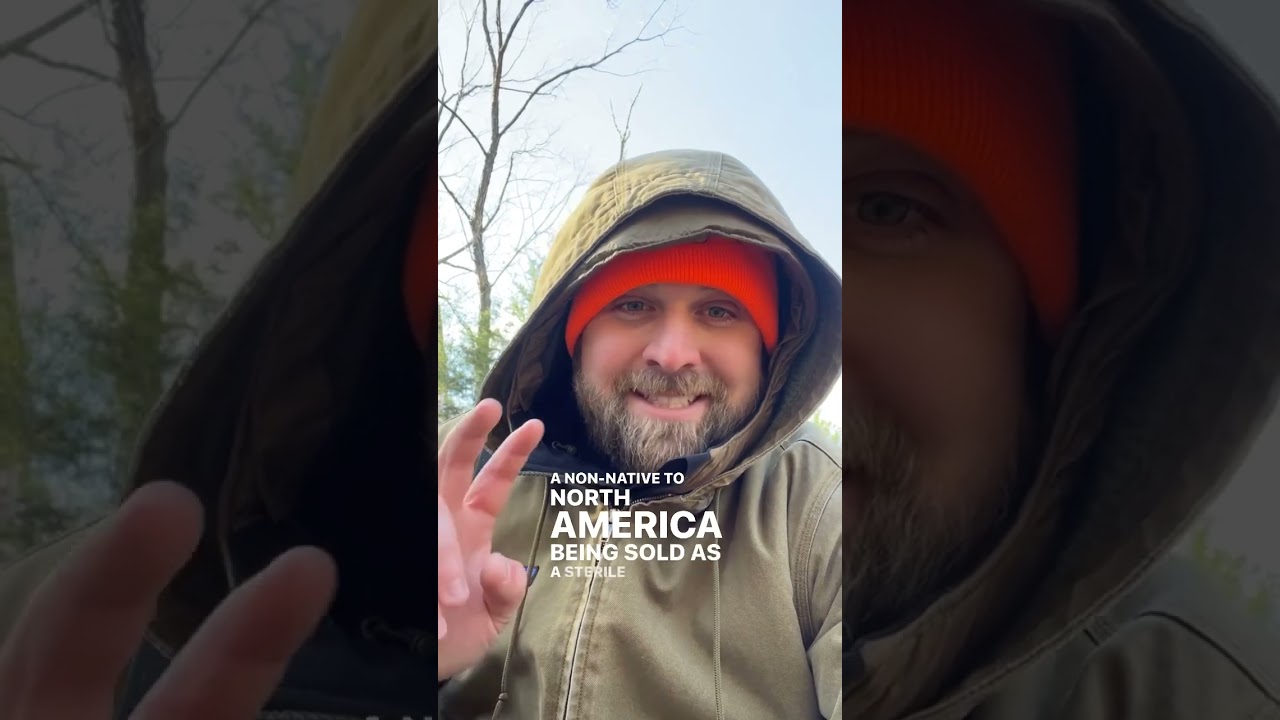 Canceling Miscanthus